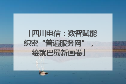 四川电信：数智赋能织密“普遍服务网”，绘就巴蜀新画卷